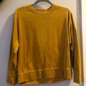 Aerie velvet yellow crew neck sweatshirt